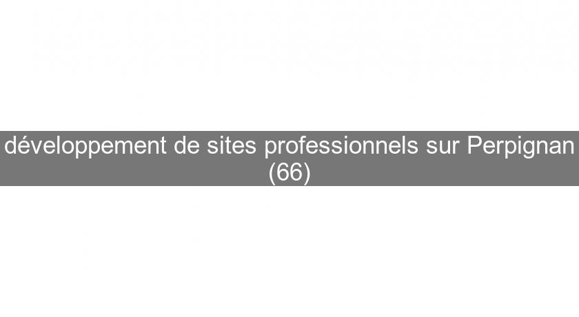 développement de sites professionnels sur Perpignan (66) développement de sites professionnels sur Perpignan (66)