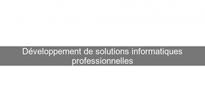 Développement de solutions informatiques professionnelles Développement de solutions informatiques professionnelles