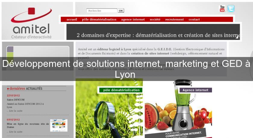 Développement de solutions internet, marketing et GED à Lyon Développement de solutions internet, marketing et GED à Lyon