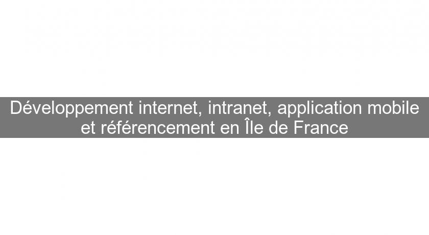Développement internet, intranet, application mobile et référencement en Île de France Développement internet, intranet, application mobile et référencement en Île de France