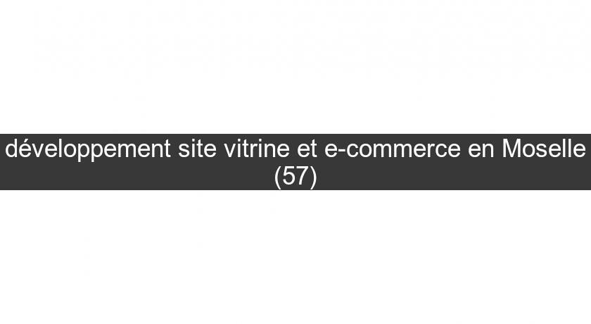 développement site vitrine et e-commerce en Moselle (57) développement site vitrine et e-commerce en Moselle (57)