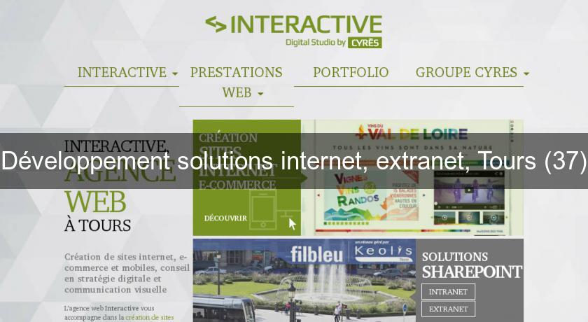 Développement solutions internet, extranet, Tours (37) Développement solutions internet, extranet, Tours (37)