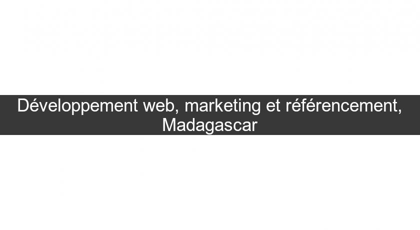 Développement web, marketing et référencement, Madagascar