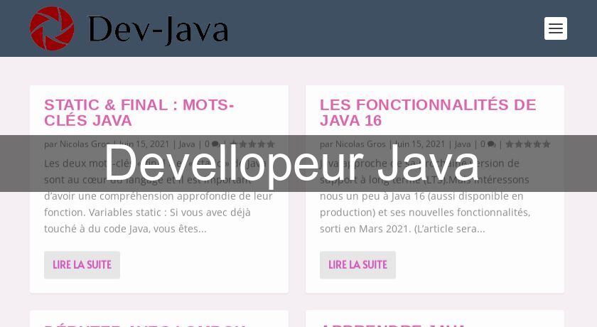 Développeur Java Développeur Java