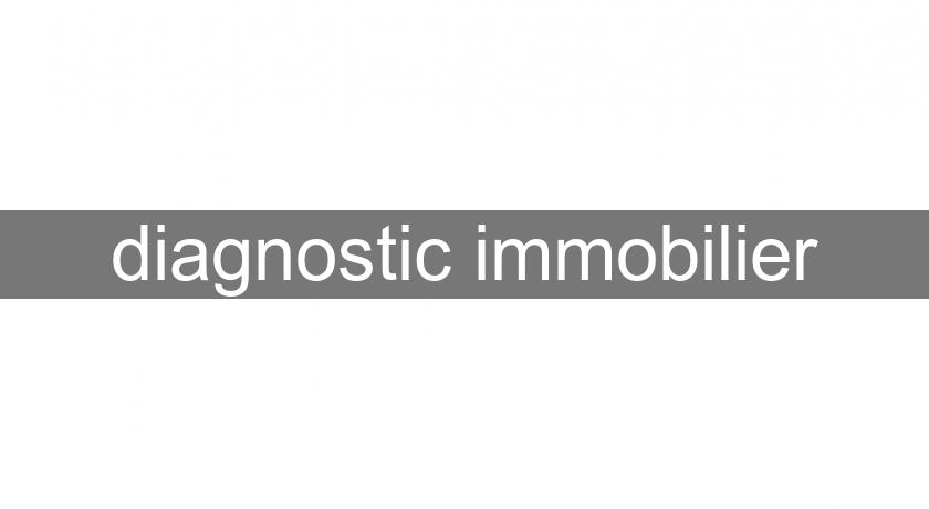 diagnostic immobilier diagnostic immobilier