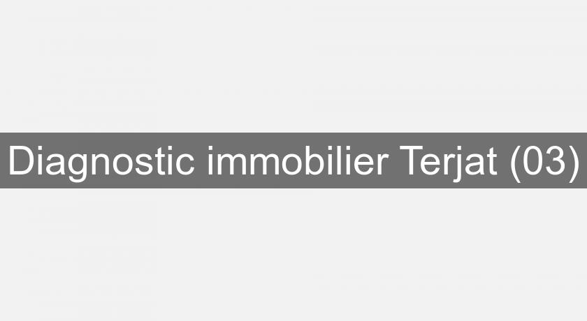 Diagnostic immobilier Terjat (03) Diagnostic immobilier Terjat (03)