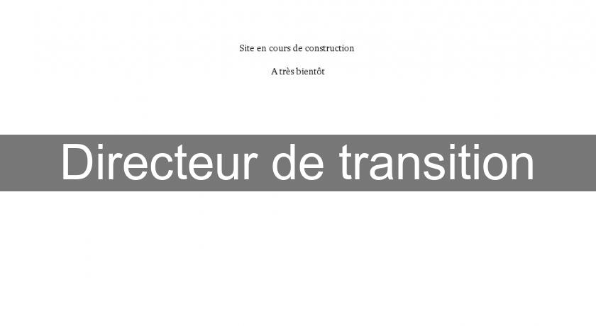 Directeur de transition Directeur de transition