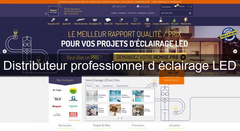 Distributeur professionnel d'éclairage LED Distributeur professionnel d'éclairage LED