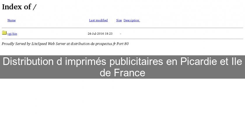 Distribution d'imprimés publicitaires en Picardie et Ile de France Distribution d'imprimés publicitaires en Picardie et Ile de France