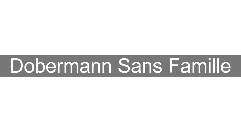Dobermann Sans Famille Dobermann Sans Famille