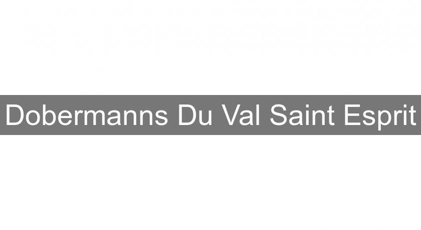 Dobermanns Du Val Saint Esprit