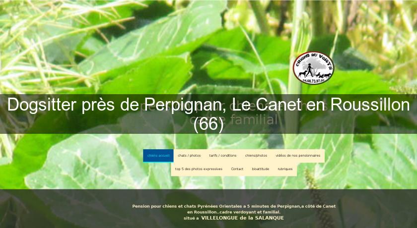 Dogsitter près de Perpignan, Le Canet en Roussillon (66) Dogsitter près de Perpignan, Le Canet en Roussillon (66)