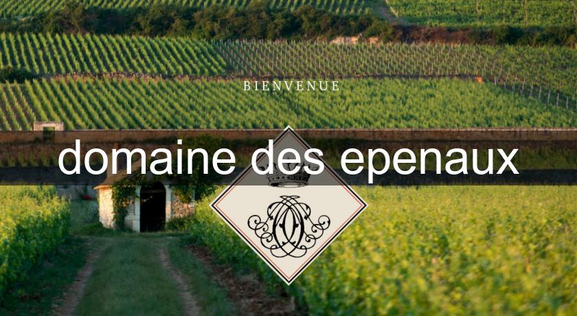 domaine des epenaux domaine des epenaux