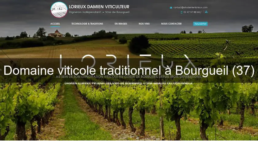 Domaine viticole traditionnel à Bourgueil (37)