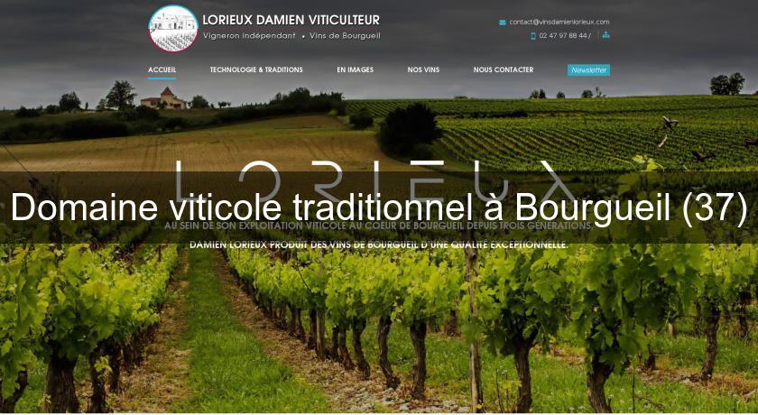 Domaine viticole traditionnel à Bourgueil (37) Domaine viticole traditionnel à Bourgueil (37)