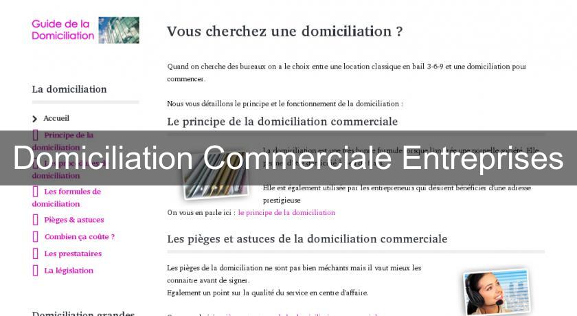 Domiciliation Commerciale Entreprises