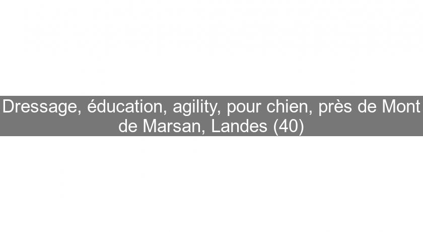 Dressage, éducation, agility, pour chien, près de Mont de Marsan, Landes (40) Dressage, éducation, agility, pour chien, près de Mont de Marsan, Landes (40)