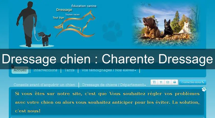 Dressage chien : Charente Dressage