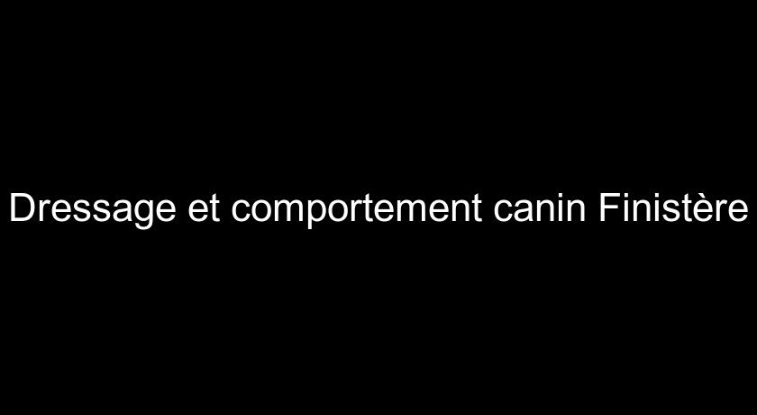 Dressage et comportement canin Finistère Dressage et comportement canin Finistère