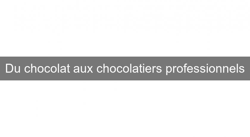 Du chocolat aux chocolatiers professionnels