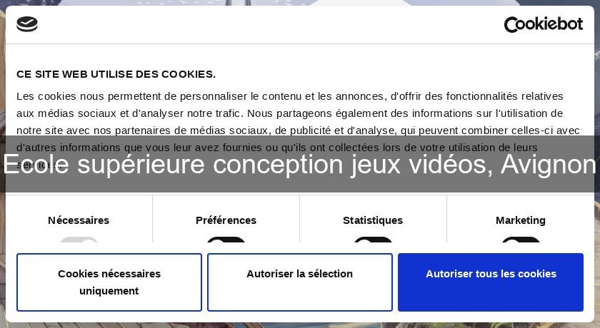 Ecole supérieure conception jeux vidéos, Avignon