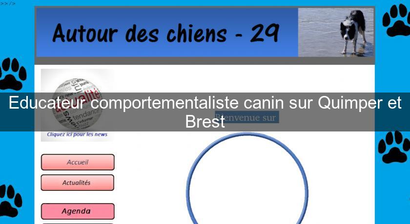 Educateur comportementaliste canin sur Quimper et Brest