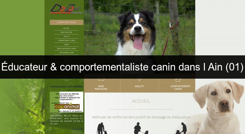 Éducateur & comportementaliste canin dans l'Ain (01) Éducateur & comportementaliste canin dans l'Ain (01)