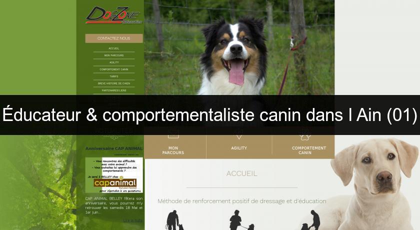 Éducateur & comportementaliste canin dans l'Ain (01)