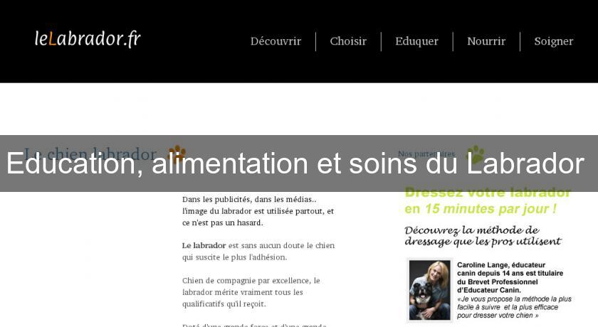 Education, alimentation et soins du Labrador 