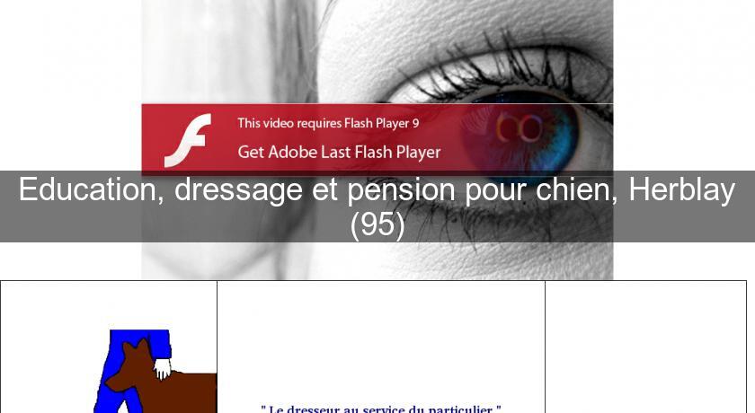 Education, dressage et pension pour chien, Herblay (95) Education, dressage et pension pour chien, Herblay (95)