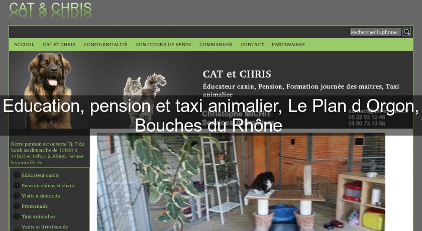 Education, pension et taxi animalier, Le Plan d'Orgon, Bouches du Rhône Education, pension et taxi animalier, Le Plan d'Orgon, Bouches du Rhône