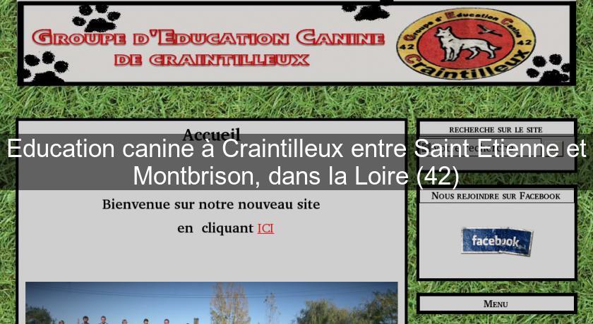 Education canine à Craintilleux entre Saint Etienne et Montbrison, dans la Loire (42) Education canine à Craintilleux entre Saint Etienne et Montbrison, dans la Loire (42)