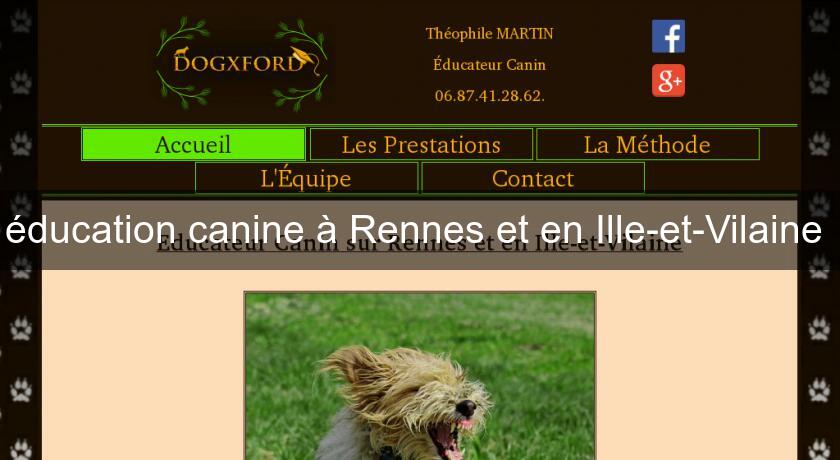 éducation canine à Rennes et en Ille-et-Vilaine 