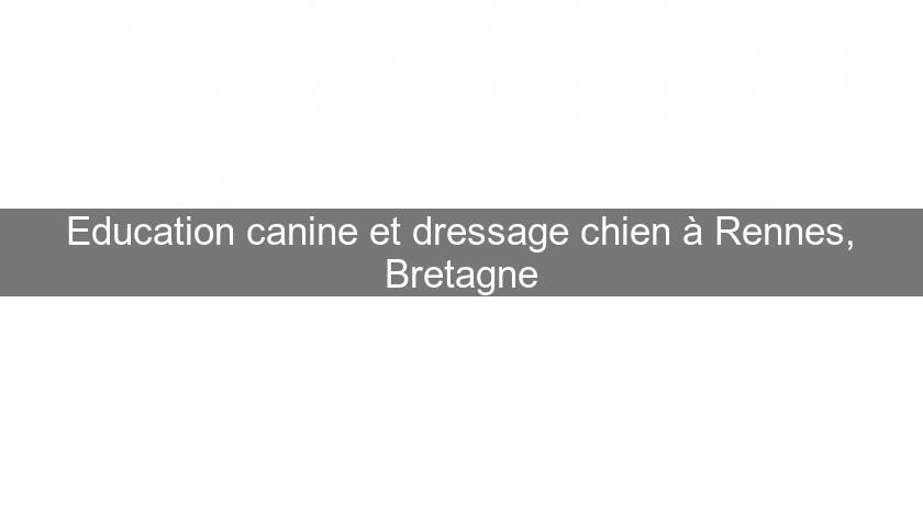 Education canine et dressage chien à Rennes, Bretagne