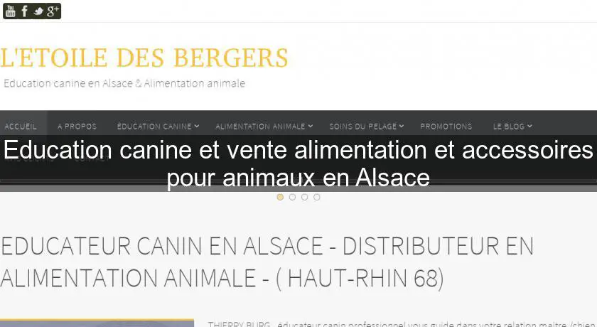 Education canine et vente alimentation et accessoires pour animaux en Alsace
