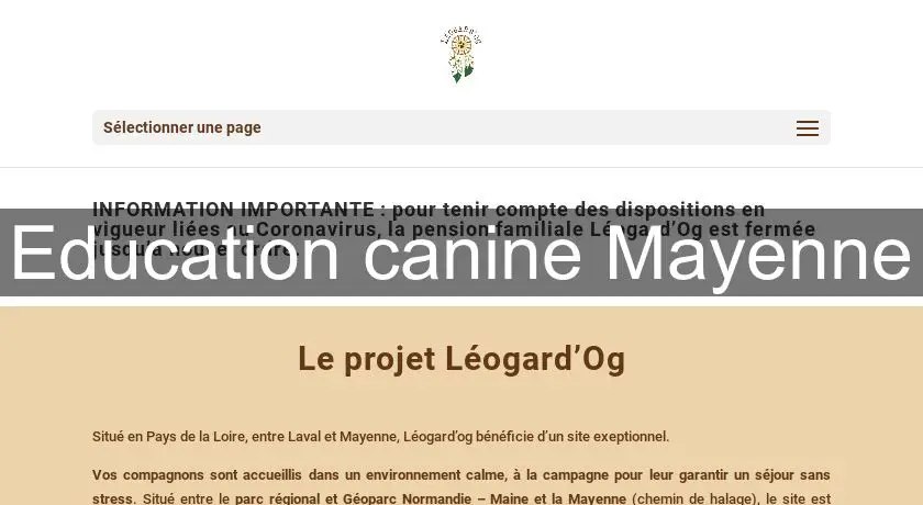 Education canine Mayenne