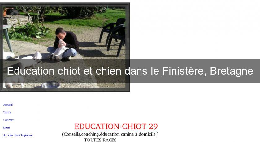 Education chiot et chien dans le Finistère, Bretagne