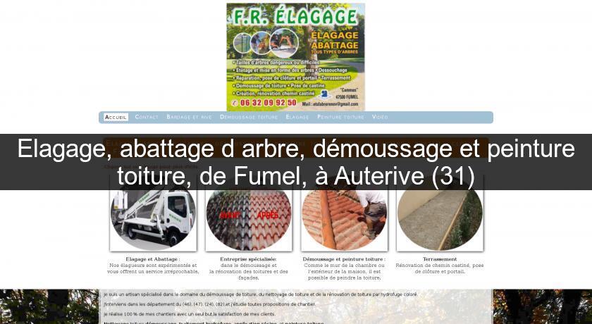 Elagage, abattage d'arbre, démoussage et peinture toiture, de Fumel, à Auterive (31) Elagage, abattage d'arbre, démoussage et peinture toiture, de Fumel, à Auterive (31)