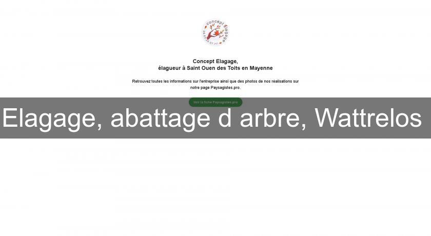 Elagage, abattage d'arbre, Wattrelos Elagage, abattage d'arbre, Wattrelos
