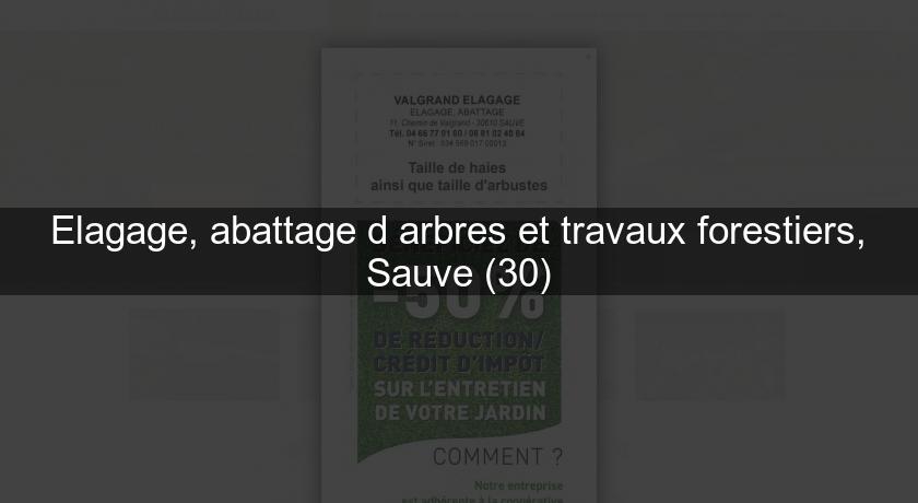 Elagage, abattage d'arbres et travaux forestiers, Sauve (30) Elagage, abattage d'arbres et travaux forestiers, Sauve (30)