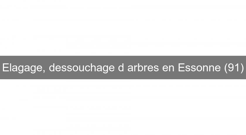 Elagage, dessouchage d'arbres en Essonne (91) Elagage, dessouchage d'arbres en Essonne (91)