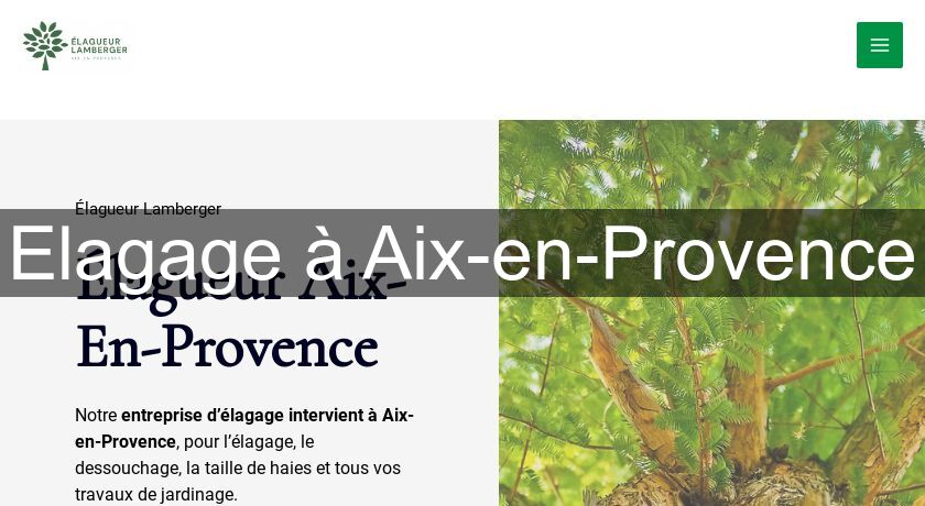 Elagage à Aix-en-Provence Elagage à Aix-en-Provence
