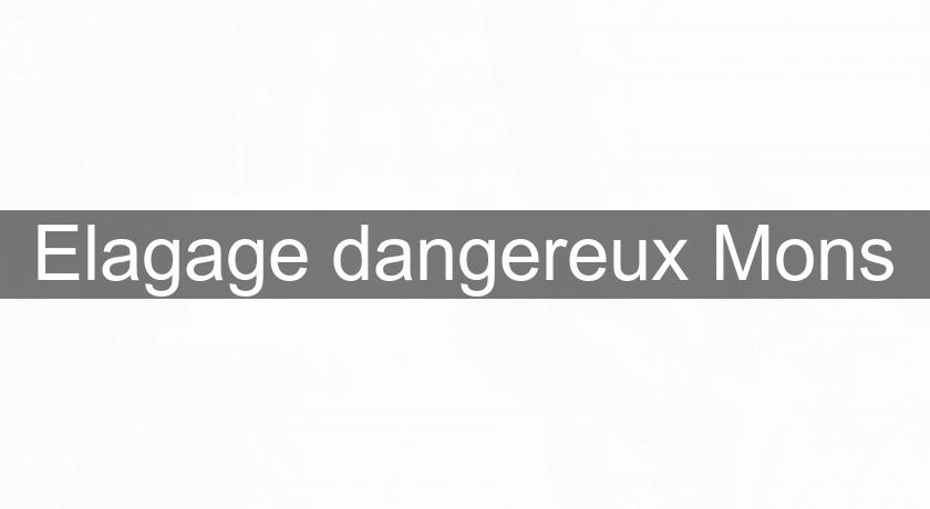 Elagage dangereux Mons Elagage dangereux Mons