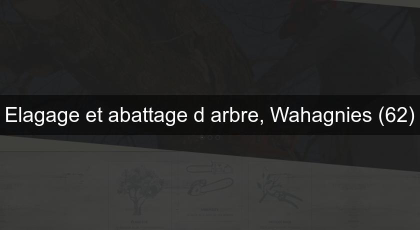 Elagage et abattage d'arbre, Wahagnies (62) Elagage et abattage d'arbre, Wahagnies (62)