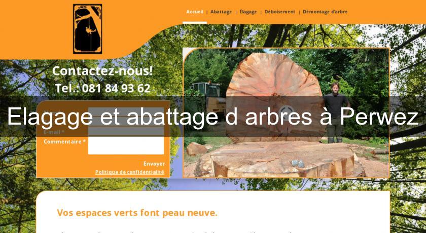 Elagage et abattage d'arbres à Perwez Elagage et abattage d'arbres à Perwez