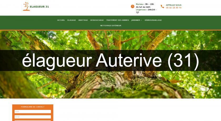 élagueur Auterive (31) élagueur Auterive (31)