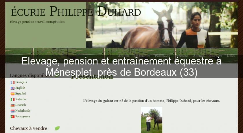 Elevage, pension et entraînement équestre à Ménesplet, près de Bordeaux (33) Elevage, pension et entraînement équestre à Ménesplet, près de Bordeaux (33)