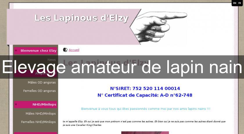 Elevage amateur de lapin nain Elevage amateur de lapin nain