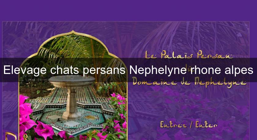 Elevage chats persans Nephelyne rhone alpes Elevage chats persans Nephelyne rhone alpes