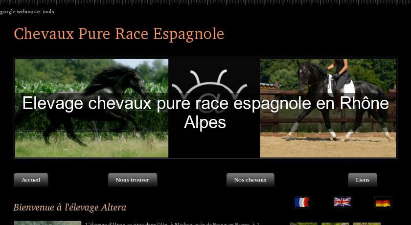 Elevage chevaux pure race espagnole en Rhône Alpes